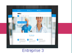 Entreprise 3