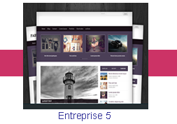 Entreprise 5