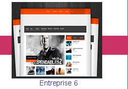 Entreprise 6