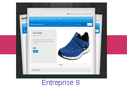 Entreprise 8