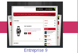 Entreprise 9